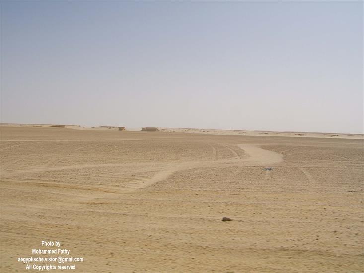 Desert - Desert 21.jpg