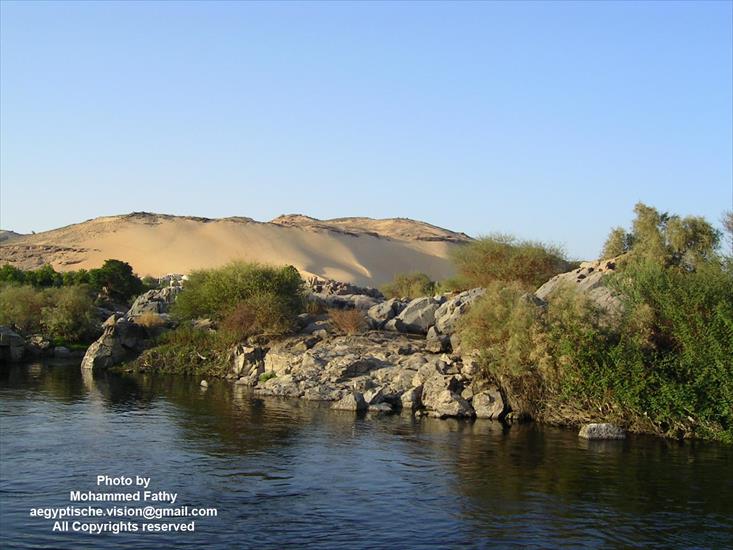 Przyroda - Przyroda w Aswan 476.jpg