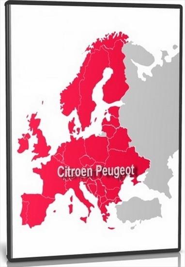 Citroen - Peugeot - RNEG MYWAY WIP NAV 2021-1 - cn.jpg