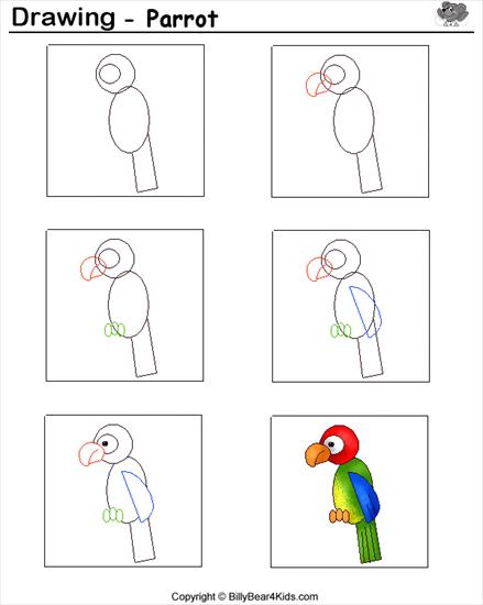 Kurs Rysowania Dla Dzieci - Papuga.gif